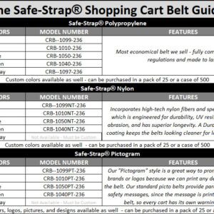 Seat Belt Guide