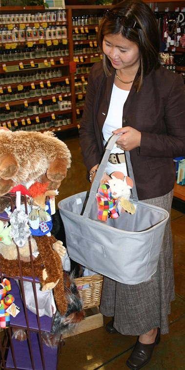 Basket Shopper